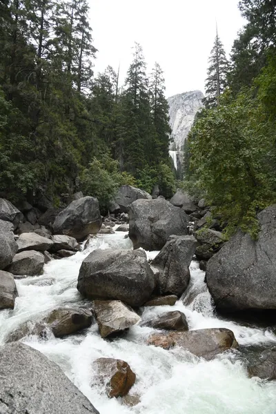 DSC_4690 (Large).JPG